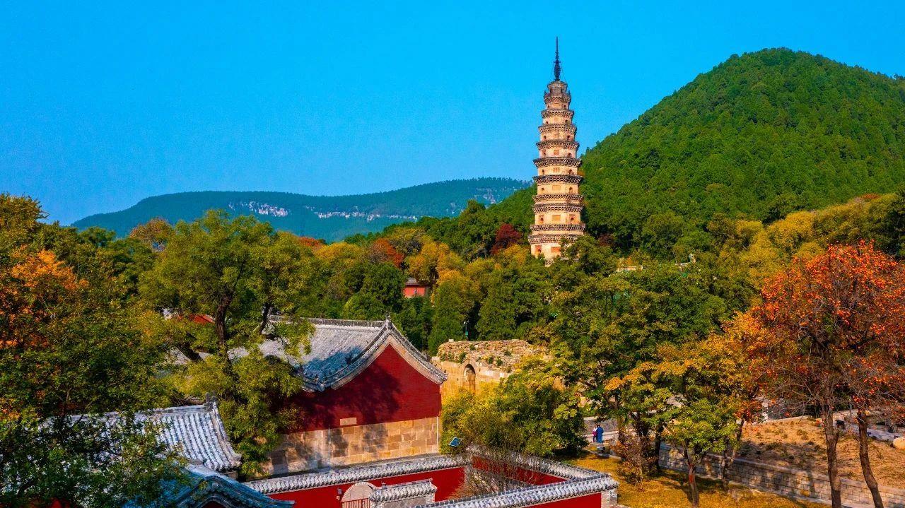 天狮娱乐官方网站图片