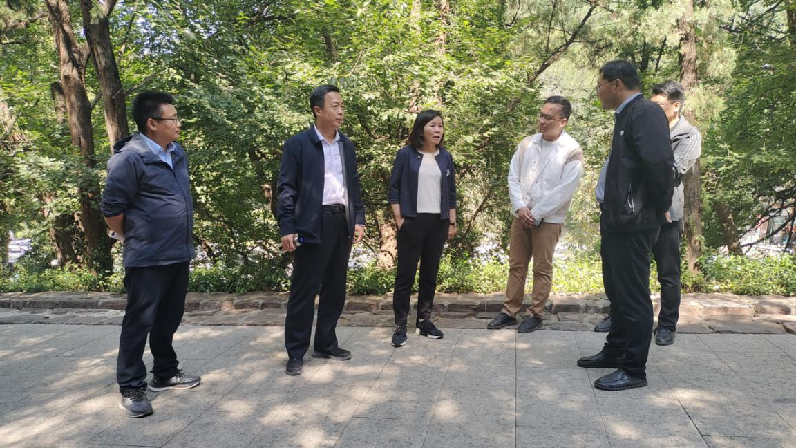 天狮娱乐官方网站图片