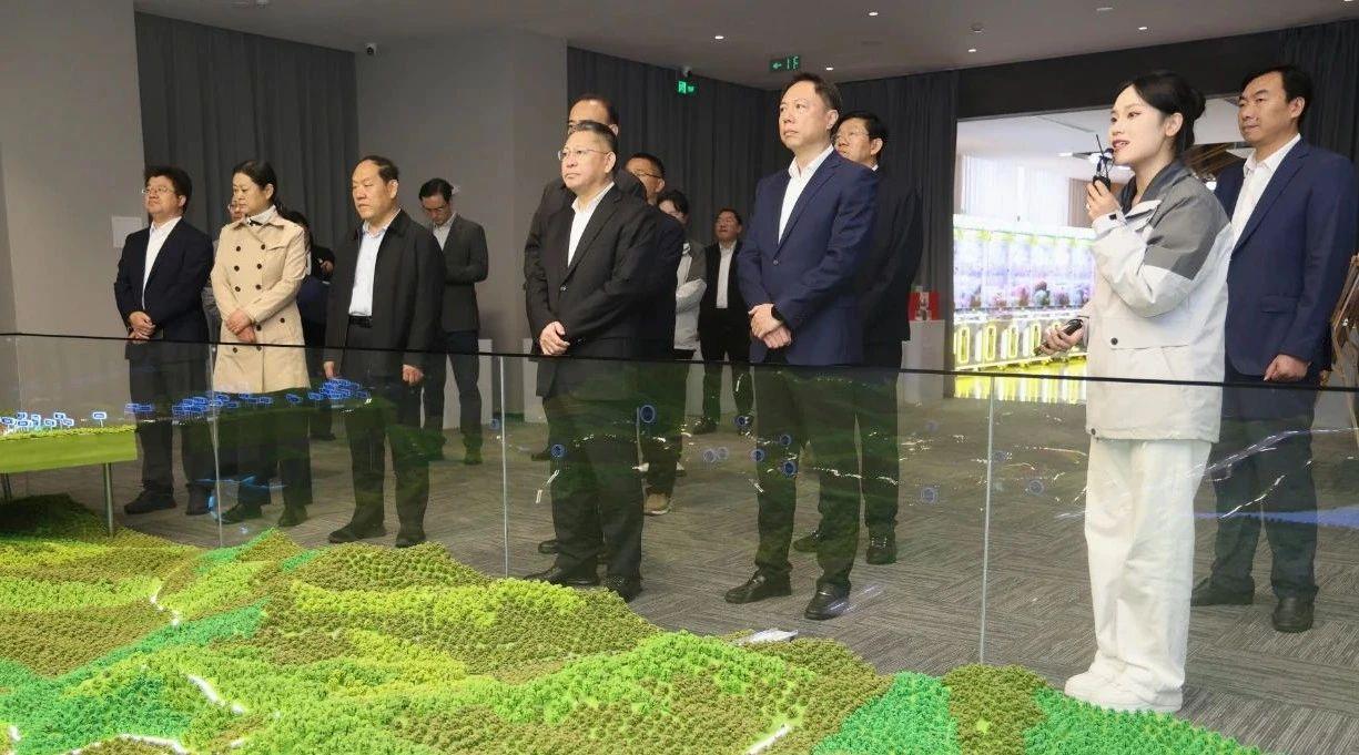 天狮娱乐官方网站图片