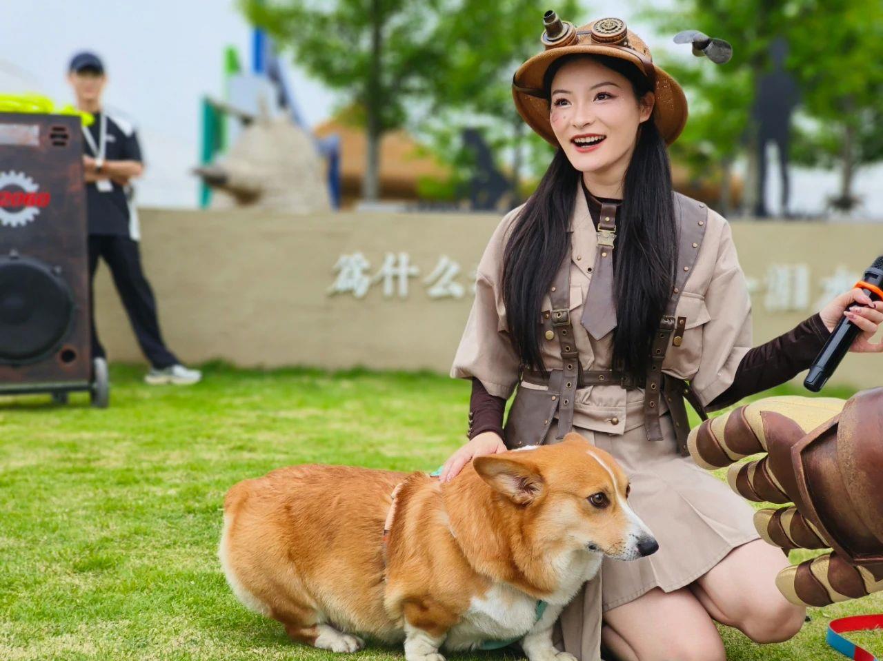 天狮娱乐官方网站图片