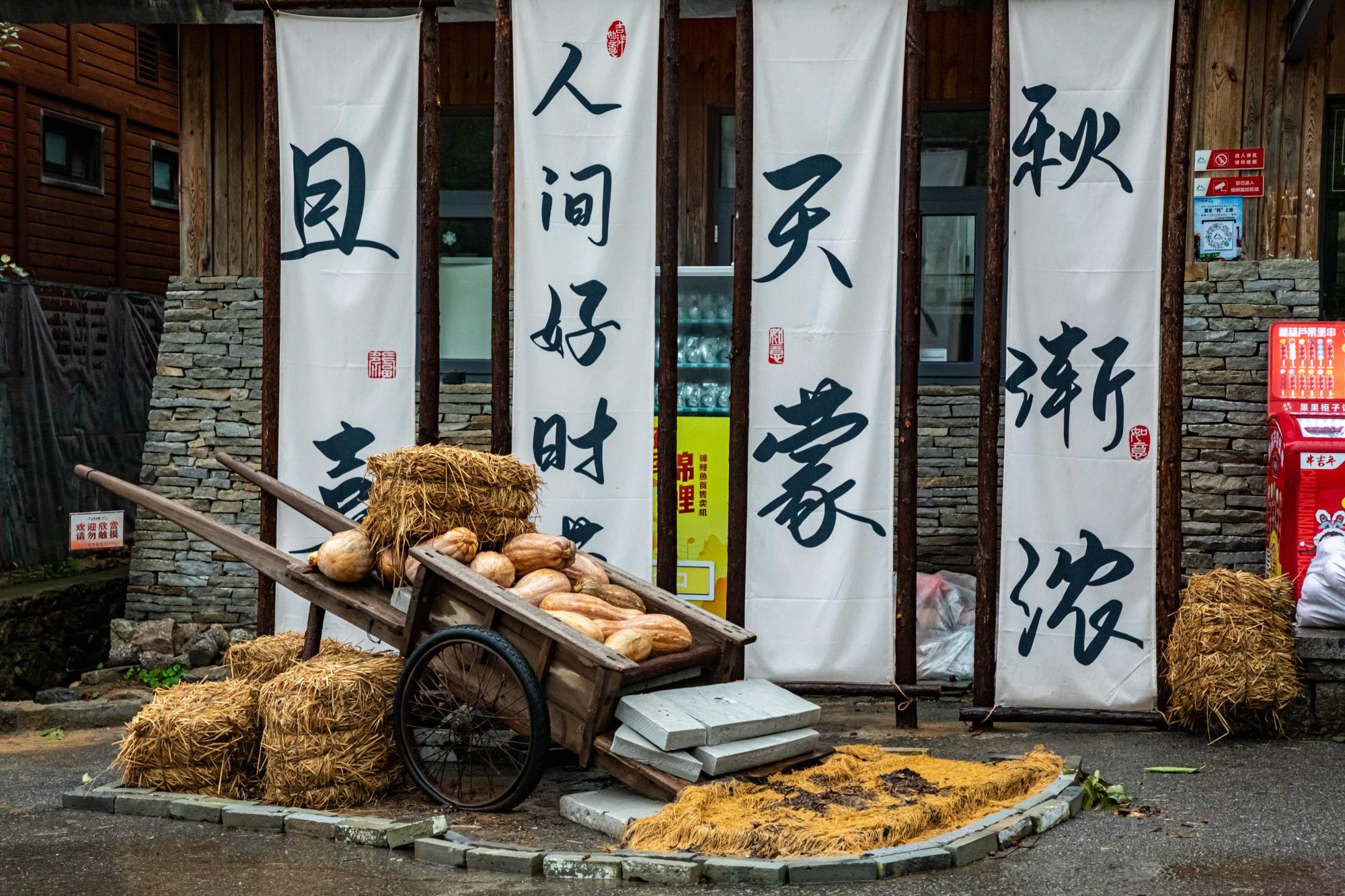天狮娱乐官方网站图片
