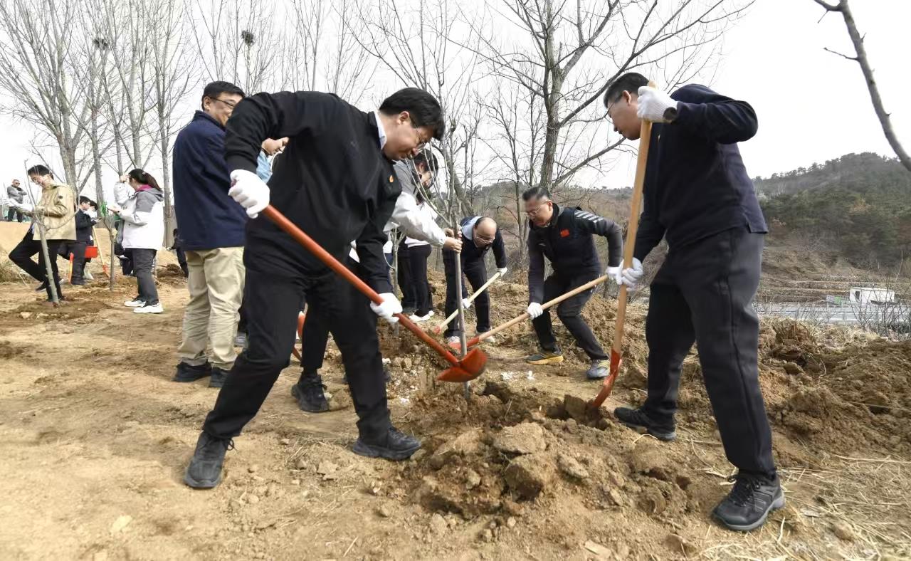 天狮娱乐官方网站图片